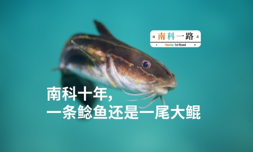 老黄姜和姜黄有区别么视频-权威老黄姜和小黄姜的区别平台,分享专业老黄姜好还是小黄姜好知识_老黄姜和姜黄有区别么网